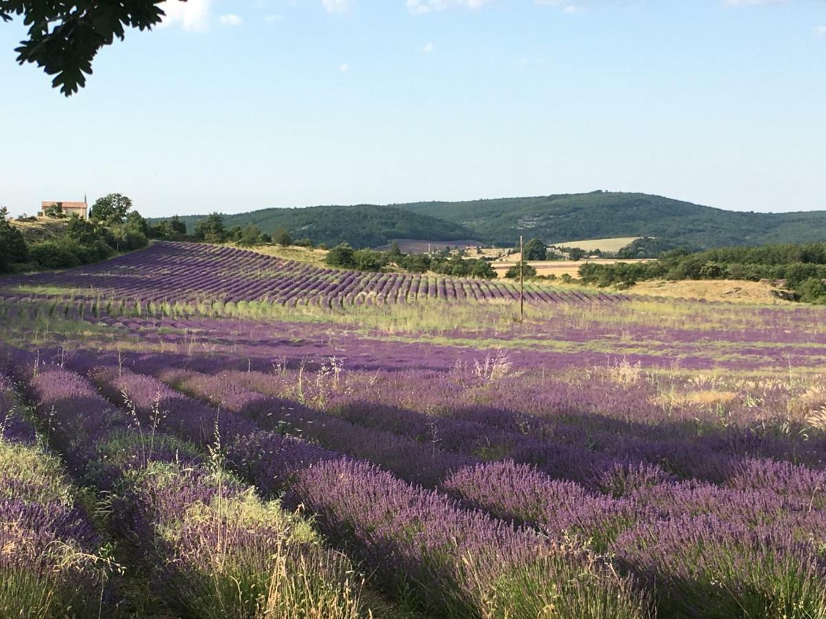 Villa Luberon Saint-Saturnin-d'Apt Bagian luar foto